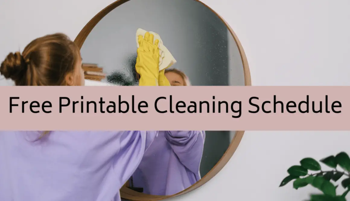 Free Printable Cleaning Schedule