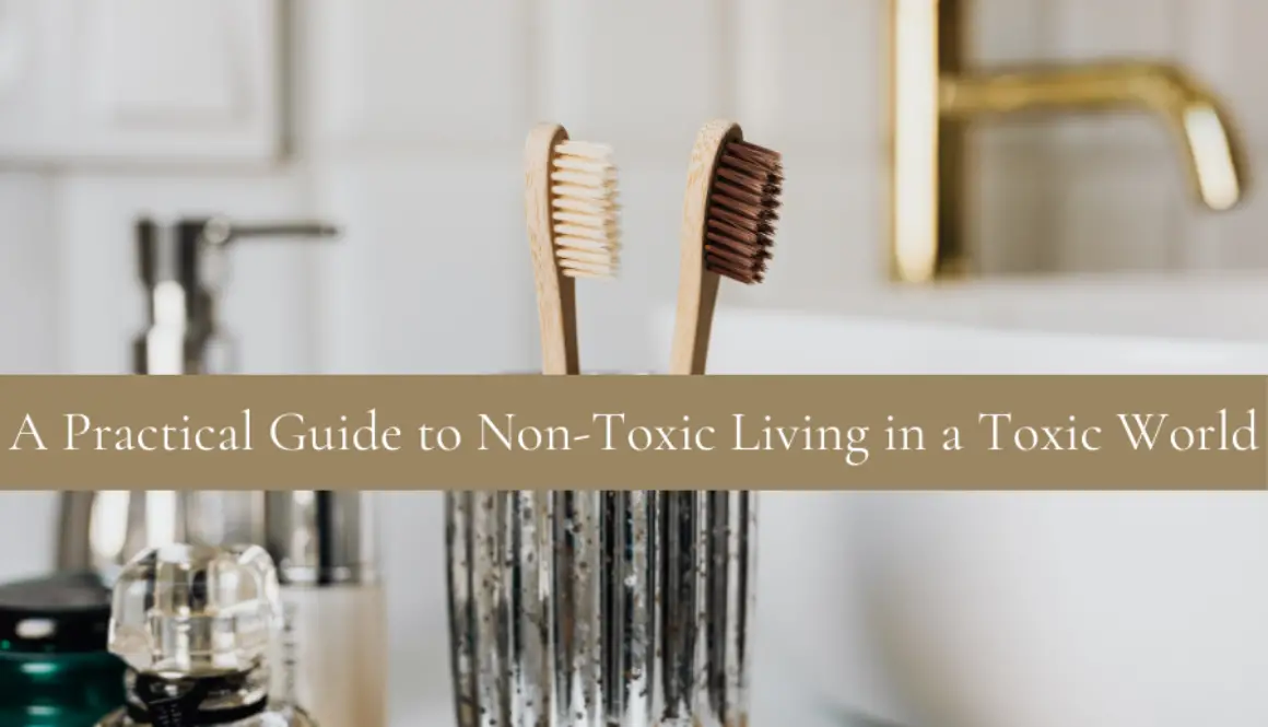 A Practical Guide to Non-Toxic Living in a Toxic World