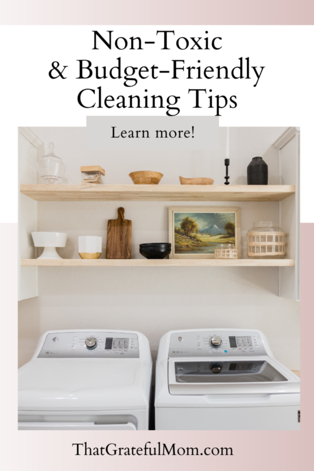 Budget Friendly Non-toxic cleaning (1)