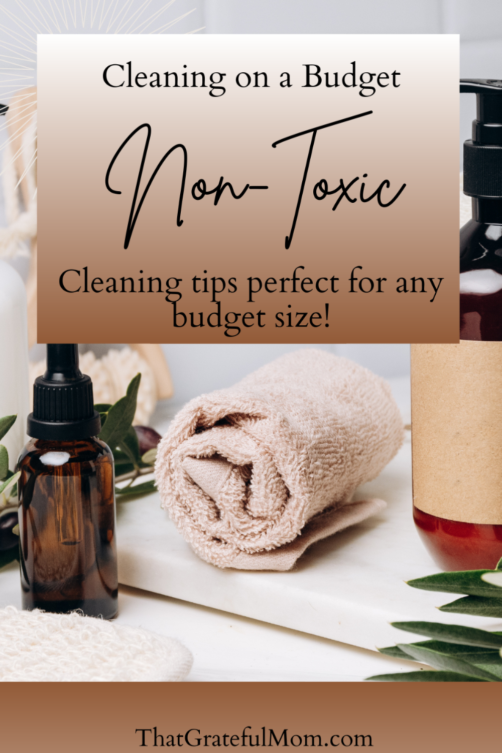 budget friendly Non-Toxic cleaning (1)