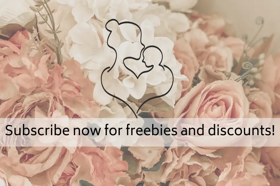 Subscribe now for freebies, updates, and discounts on digital products! (1)