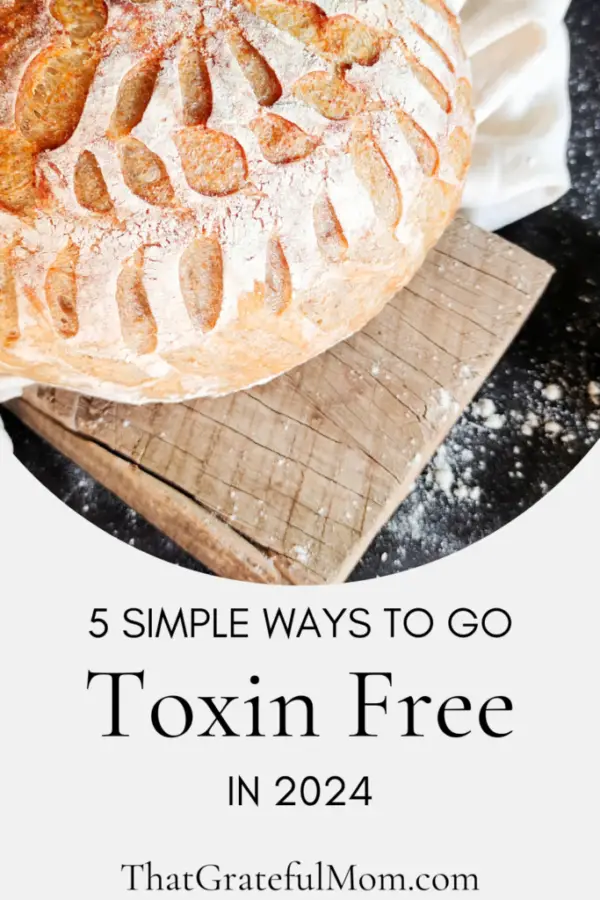 5 Simple ways to go toxin free in 2024 pin