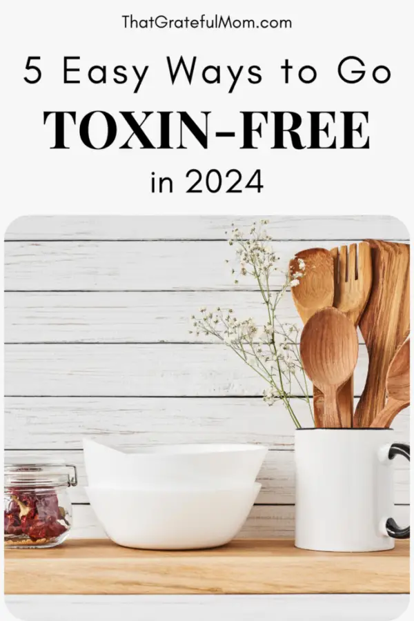 5 easy ways to go toxin free pin 1