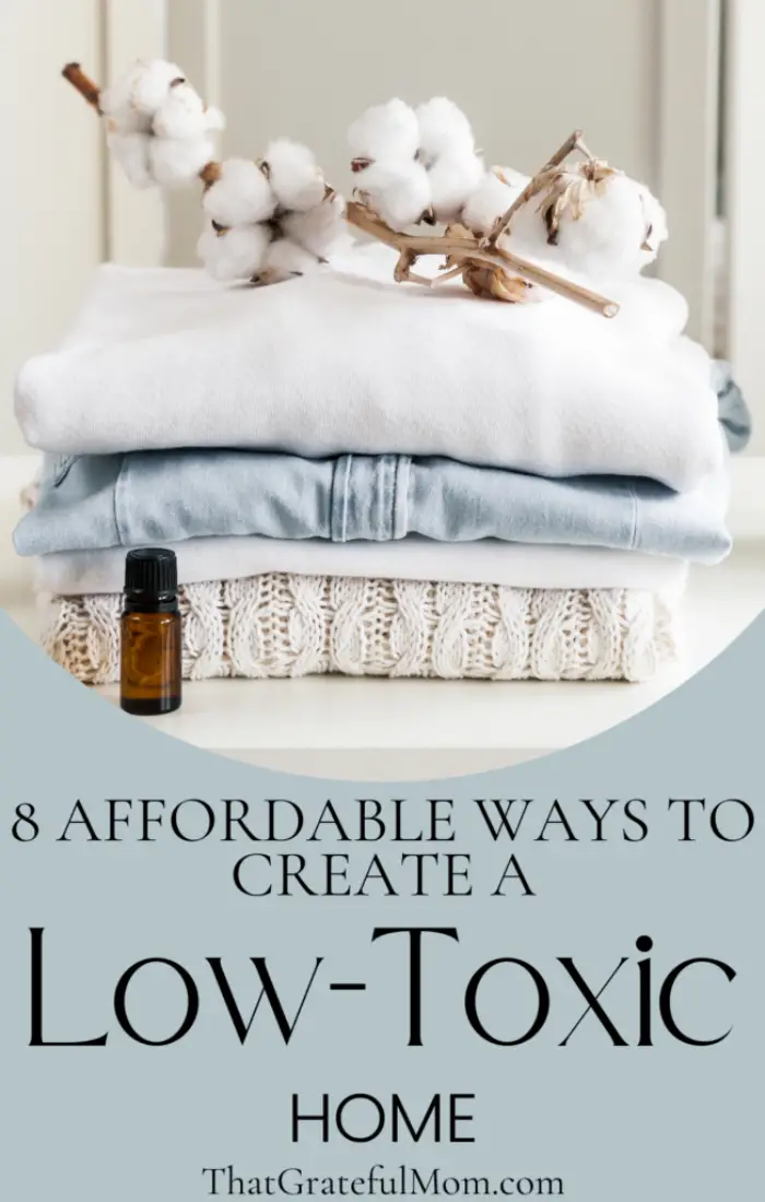 8 affordable ways to create a low toxic home pin 1