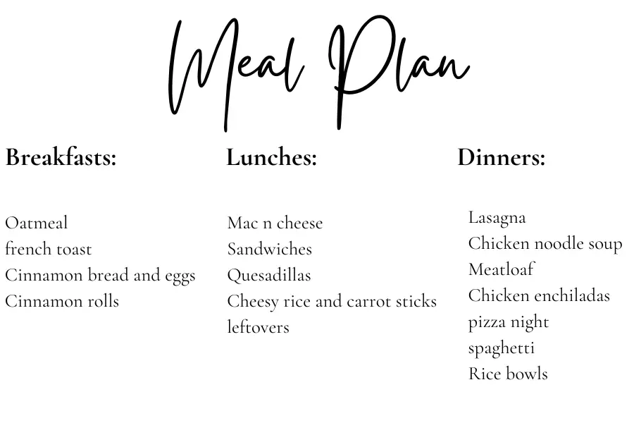 a meal plan to help budget groceries for a family of 8