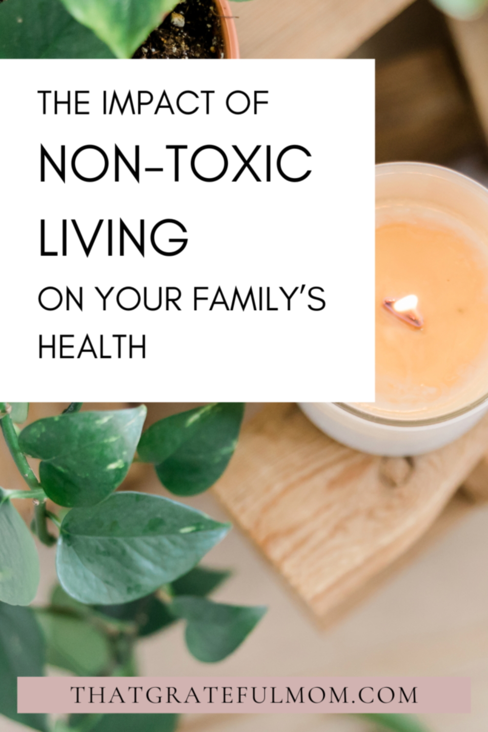 The IMpact of Non-toxic Living On Your Family’s Health pin 3