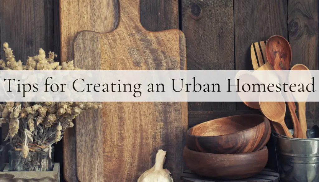 Tips for Creating an Urban Homestead