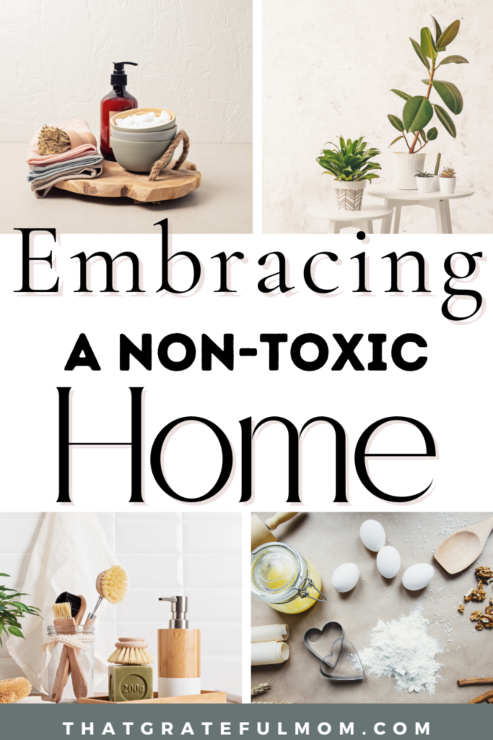 transitioning to a non-toxic home pin 3