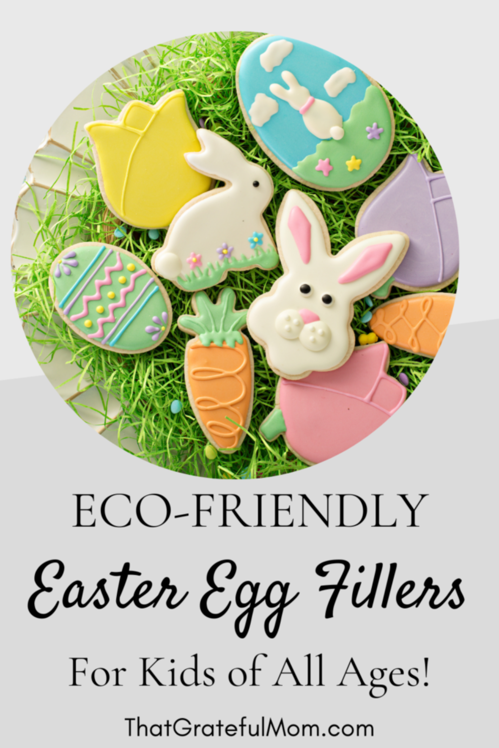 Eco-Friendly egg fillers pin 2