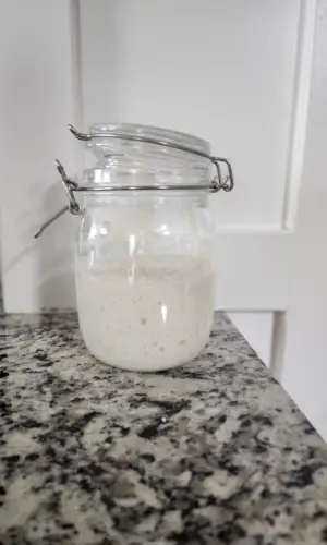 Active sourdough starter used as part of my best sourdough recipe.