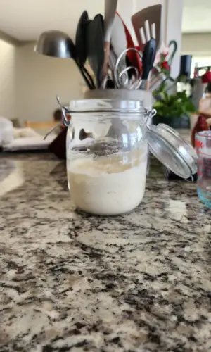 before feeding sourdough starter