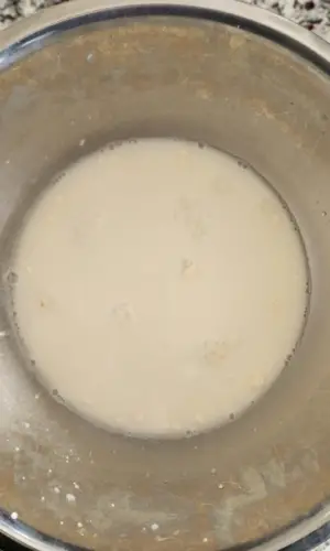 milky sourdough ingredients