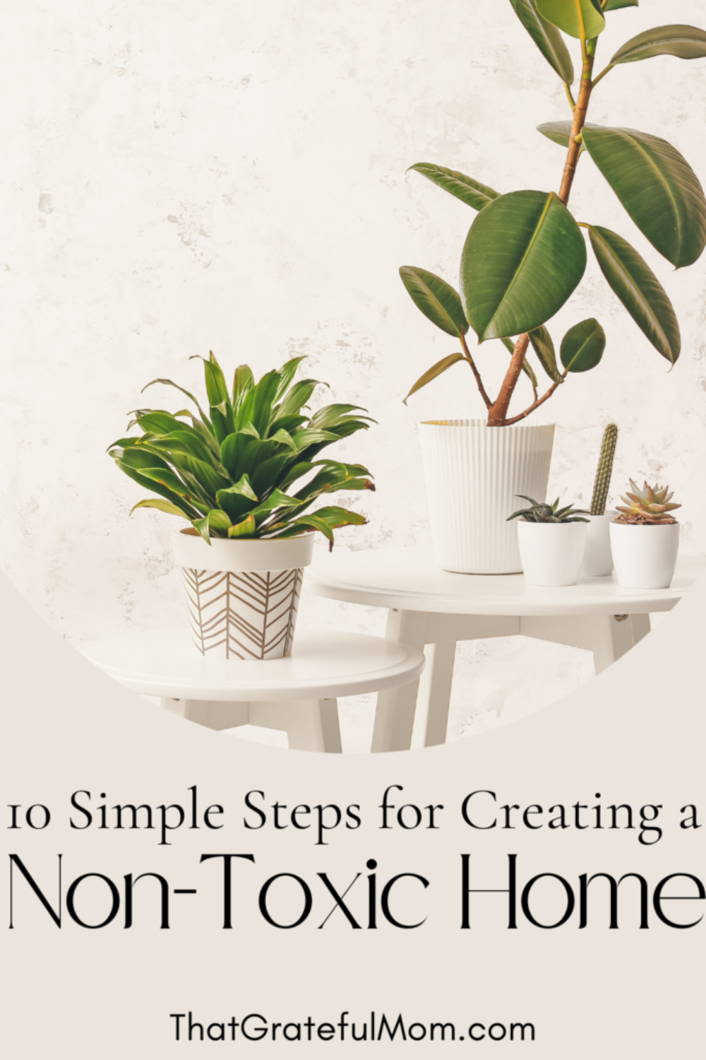 10 Simple Steps for Creating a non toxic home 2