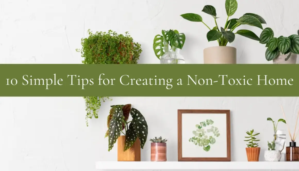 10-Simple-Tips-for-Creating-a-Non-Toxic-Home