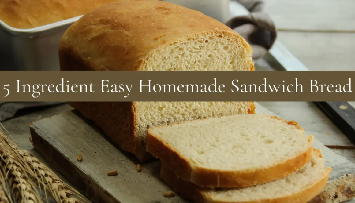 5-Ingredient-Easy-Homemade-Sandwich-Bread