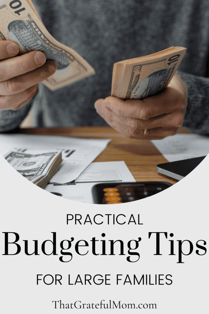 Practical Tips for Sticking to a Budget as a Large Family - That ...