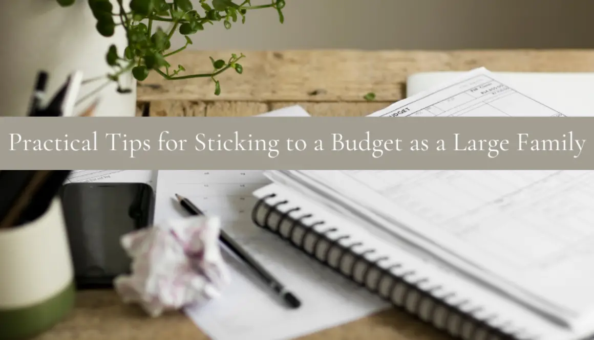 Practical-Tips-for-Sticking-to-a-Budget-as-a-Large-Family