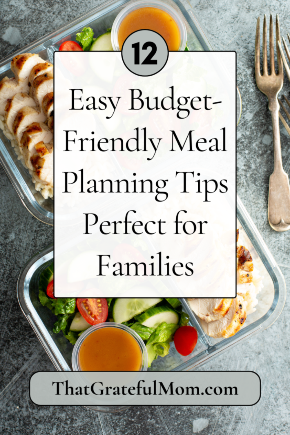 budget friendly meal planning pin 2