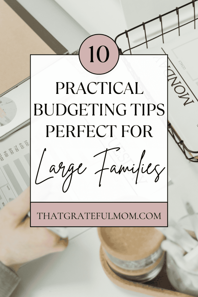 Practical Tips for Sticking to a Budget as a Large Family - That ...