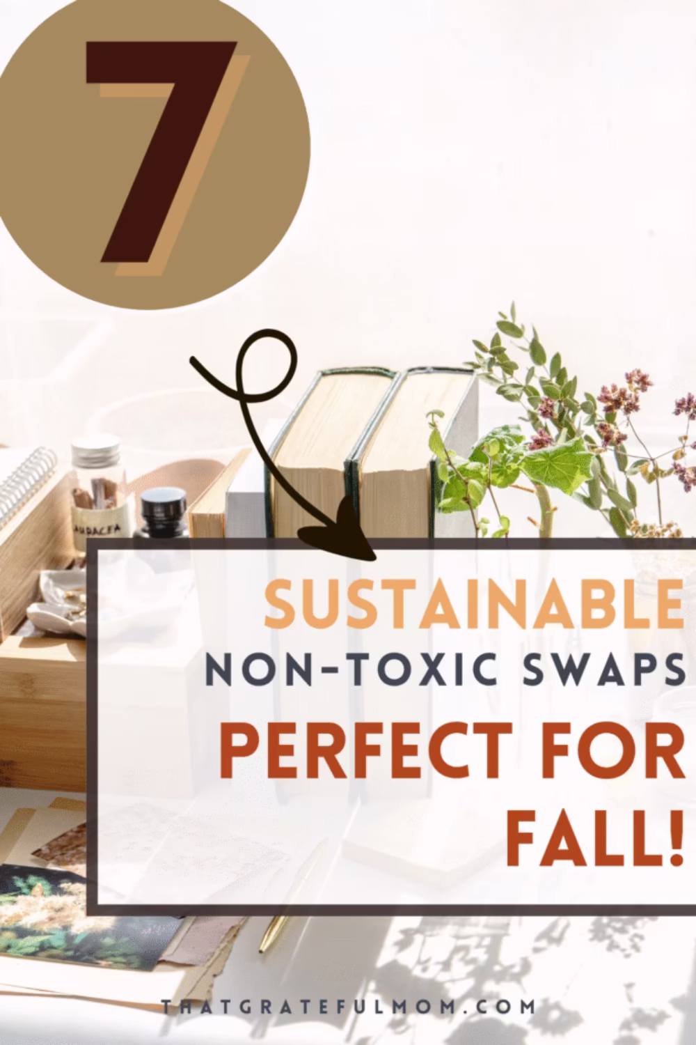 Budget-Friendly Non-Toxic Fall Cleaning Swaps pin 3