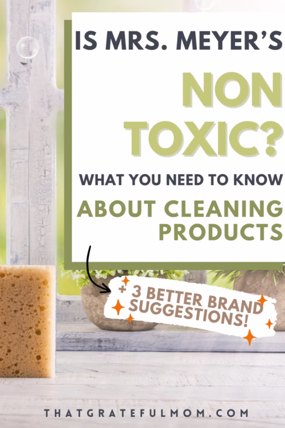 Comparison of non-toxic brands vs Mrs. Meyer’s products
