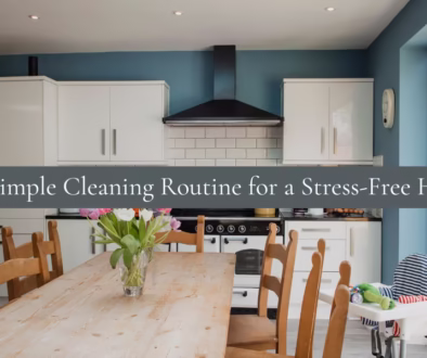 simple cleaning routine for busy moms