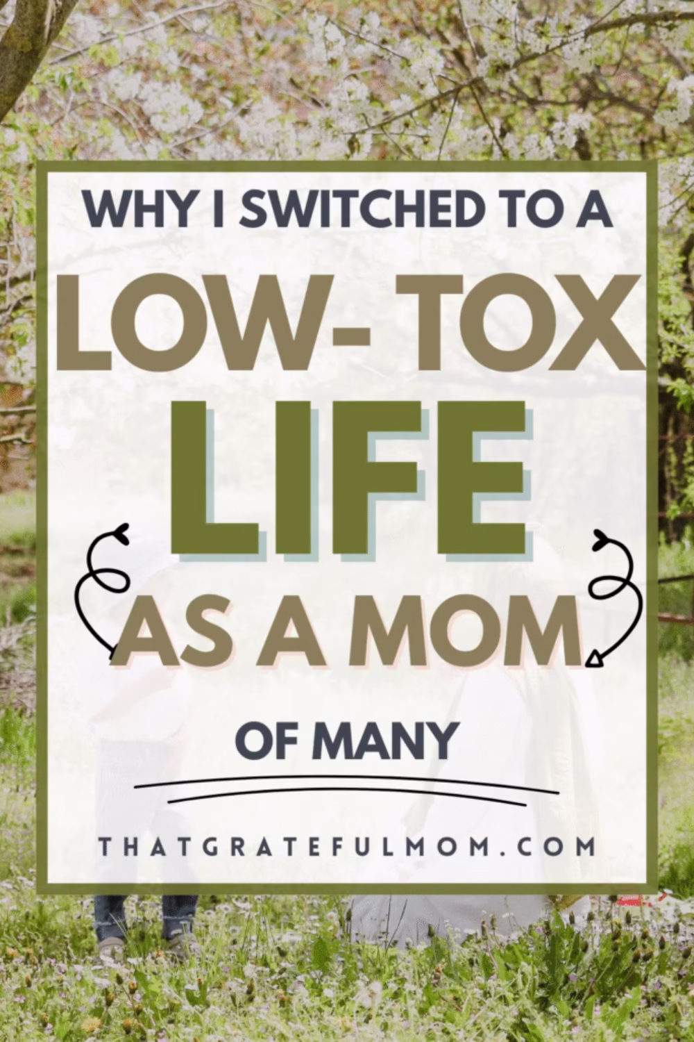 Why I Switched to a Low-Tox Life as a Mom of Many pin 6